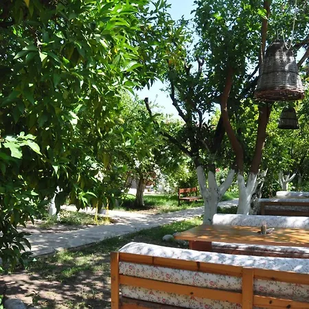 San Simon Çıralı