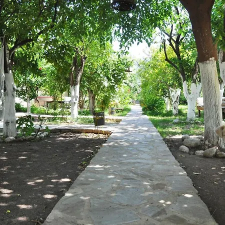 Hotel San Simon