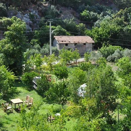 Hotel San Simon *