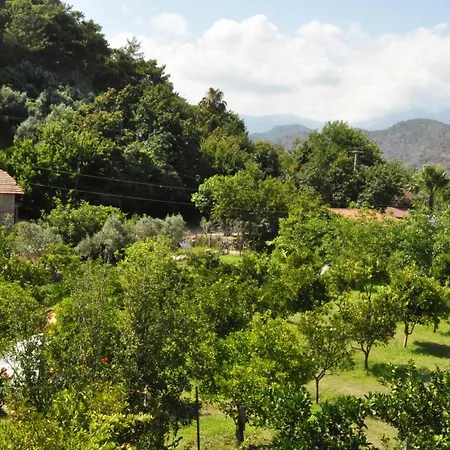 San Simon *