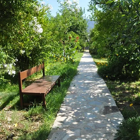 San Simon * Çıralı