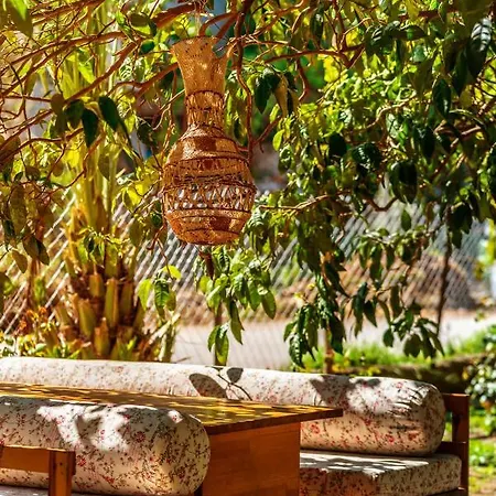 San Simon Çıralı