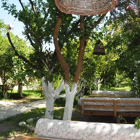 San Simon
