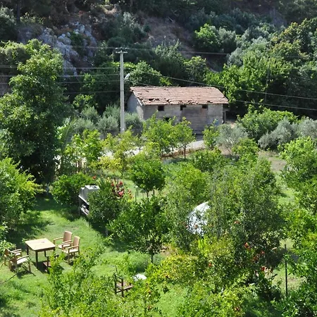 Hotel San Simon *